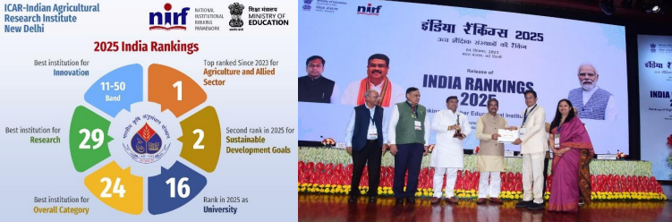 IARI Tops NIRF Ranking in Agriculture and Secures 2nd Rank in SDG Institute Category